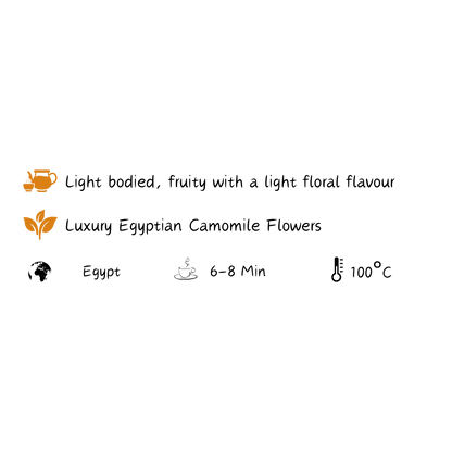 Egyptian Camomile