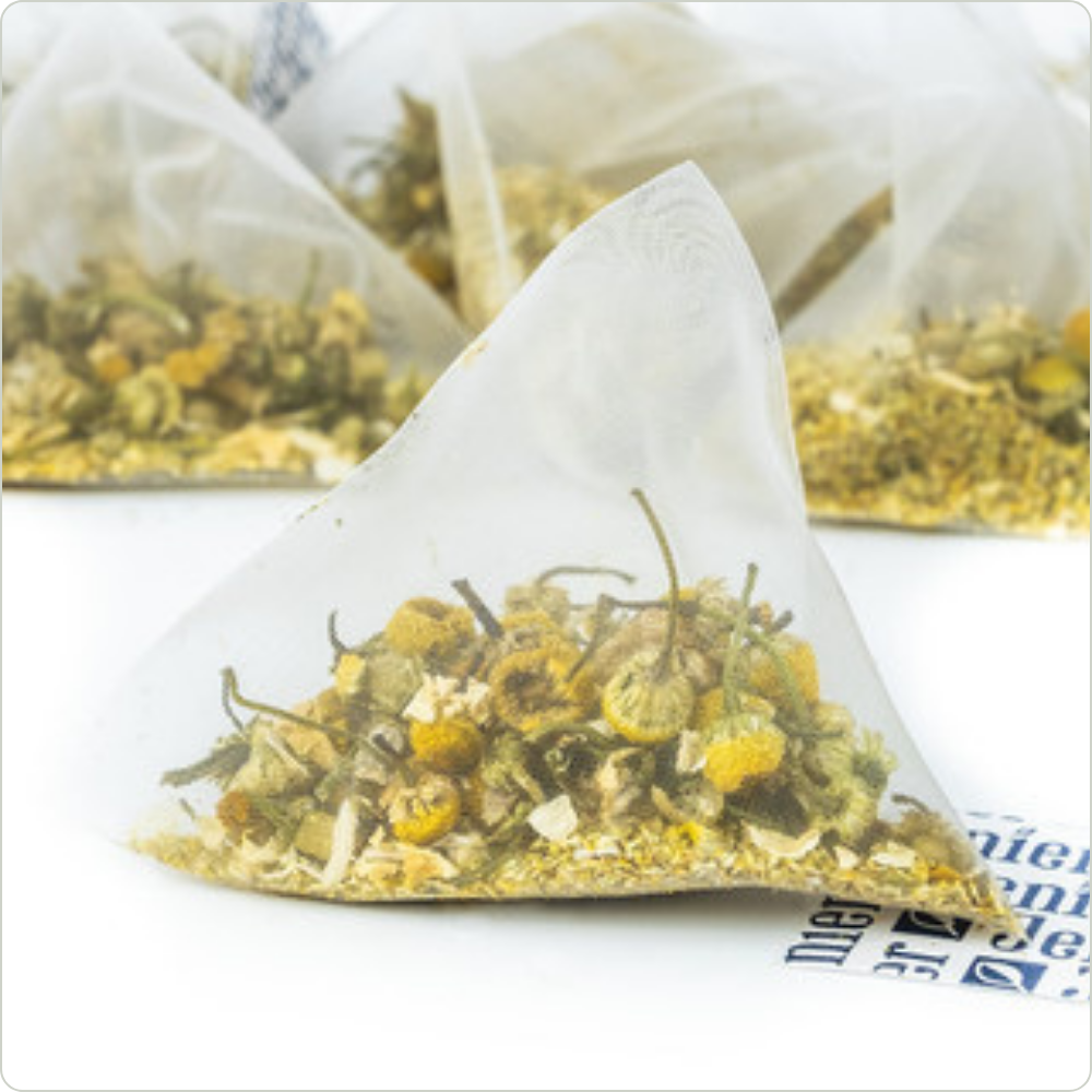 Egyptian Camomile